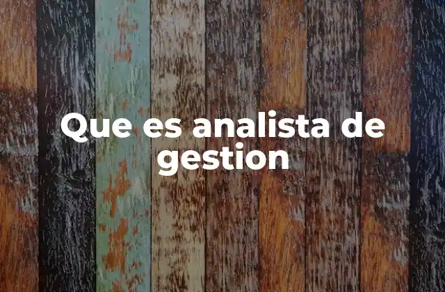 Que es Analista de Gestion