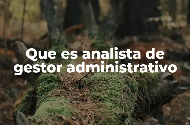 Que es Analista de Gestor Administrativo