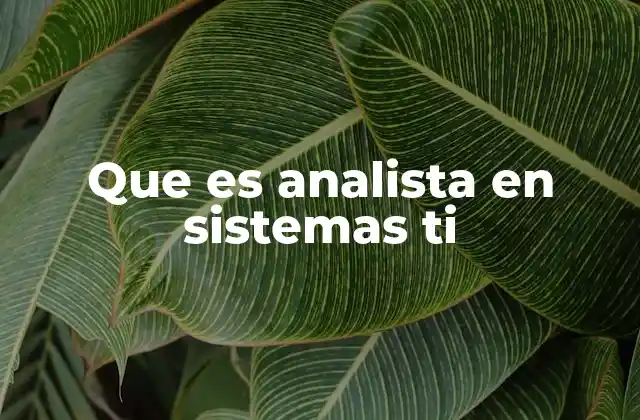 Que es Analista en Sistemas Ti