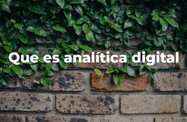 Que es Analítica Digital