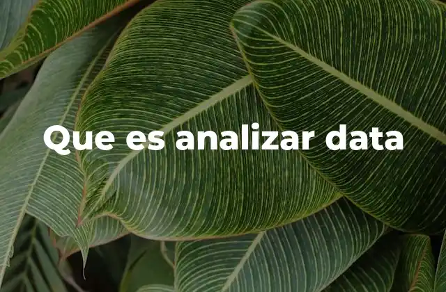 La importancia del análisis de datos en la toma de decisiones