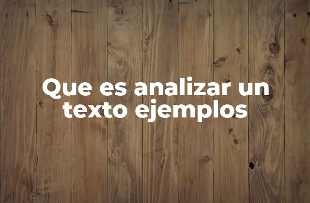 Que es Analizar un Texto Ejemplos