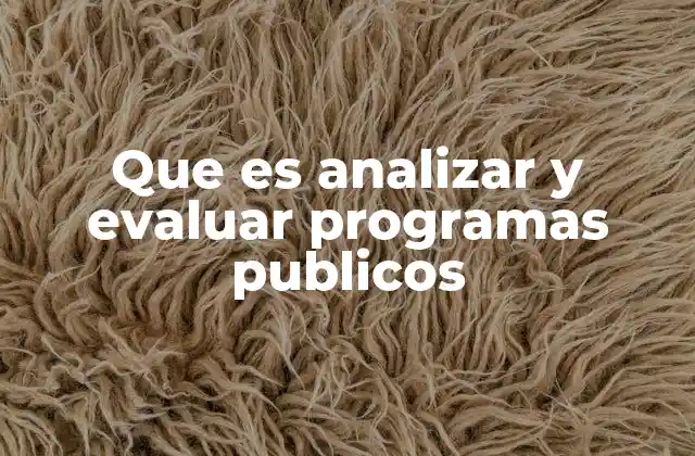 Que es Analizar y Evaluar Programas Publicos 2 El rol de la evaluación en la mejora de la gestión pública