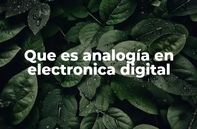 Que es Analogía en Electronica Digital