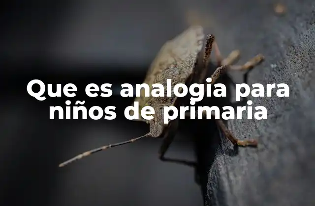 Que es Analogia para Niños de Primaria