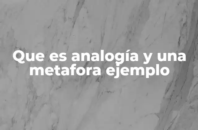 Que es Analogía y una Metafora Ejemplo