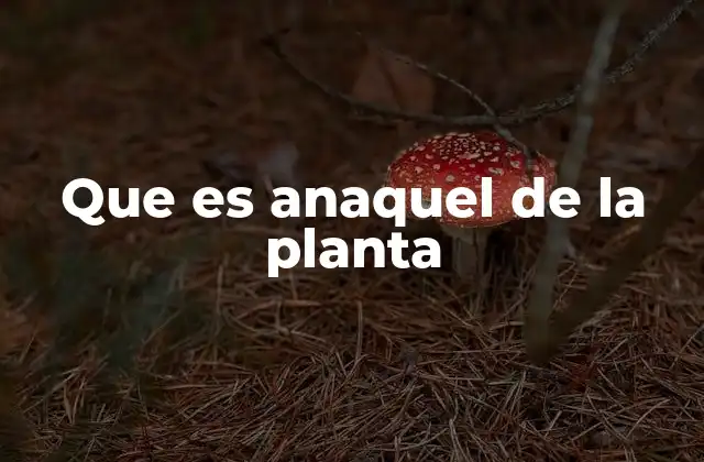 La importancia de organizar las plantas en espacios interiores