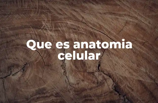 Que es Anatomia Celular 2 La base estructural de la vida