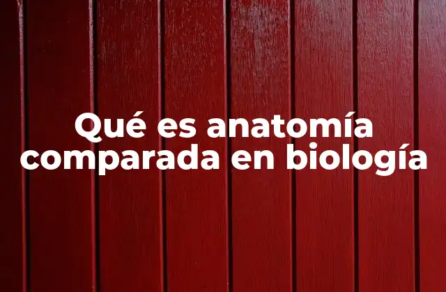 Qué es Anatomía Comparada en Biología
