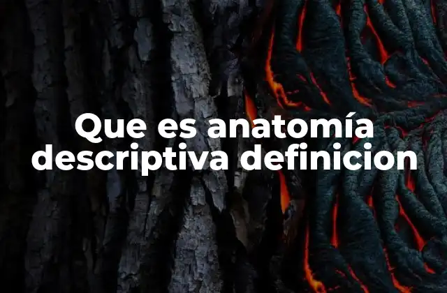 Que es Anatomía Descriptiva Definicion 2 La base de la comprensión anatómica humana