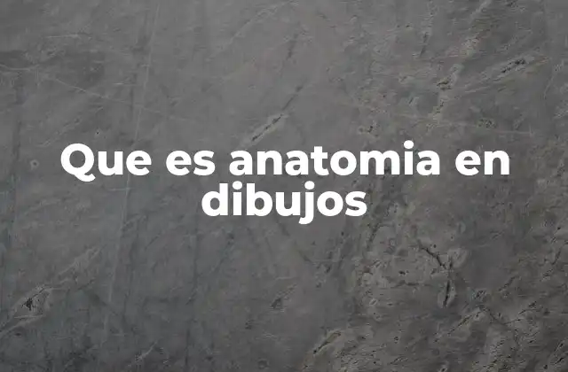 Que es Anatomia en Dibujos