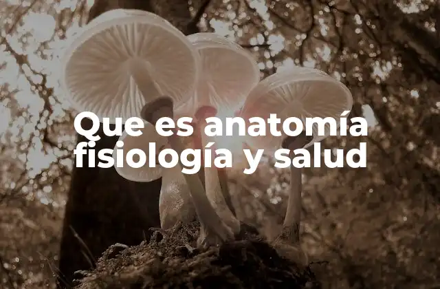 Que es Anatomía Fisiología y Salud