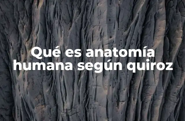 Qué es Anatomía Humana según Quiroz