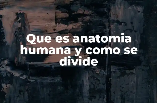 Que es Anatomia Humana y como Se Divide