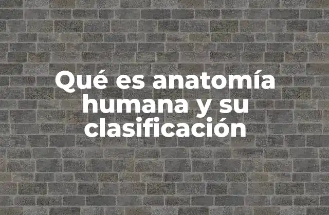 Qué es Anatomía Humana y Su Clasificación