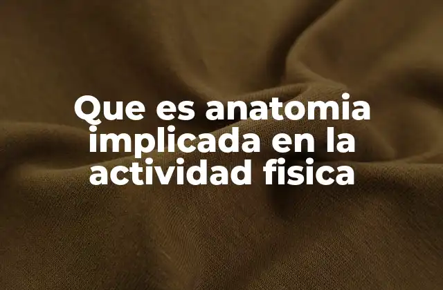 Que es Anatomia Implicada en la Actividad Fisica