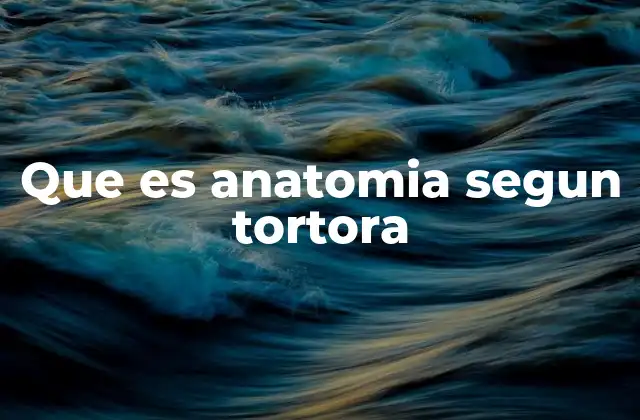 Que es Anatomia Segun Tortora