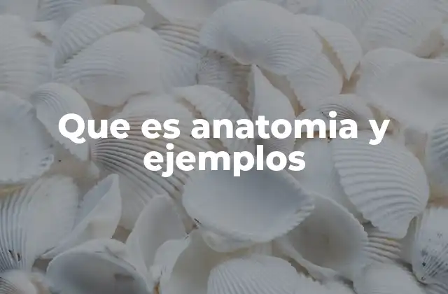 Que es Anatomia y Ejemplos