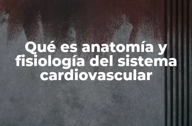 Qué es Anatomía y Fisiología Del Sistema Cardiovascular