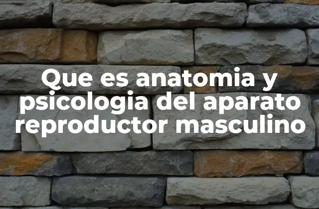 La interacción entre cuerpo y mente en la salud reproductiva