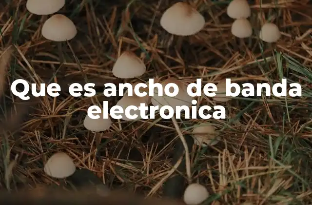Que es Ancho de Banda Electronica