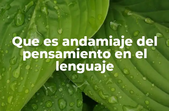 Que es Andamiaje Del Pensamiento en el Lenguaje