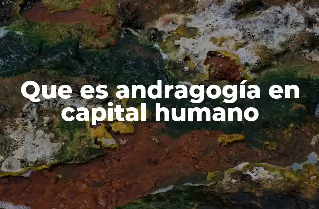 Que es Andragogía en Capital Humano