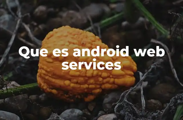 Que es Android Web Services