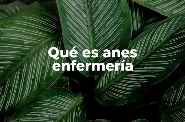 Qué es Anes Enfermería
