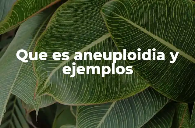 Causas y mecanismos de la aneuploidia