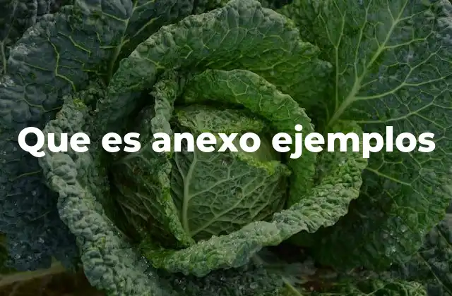 Que es Anexo Ejemplos