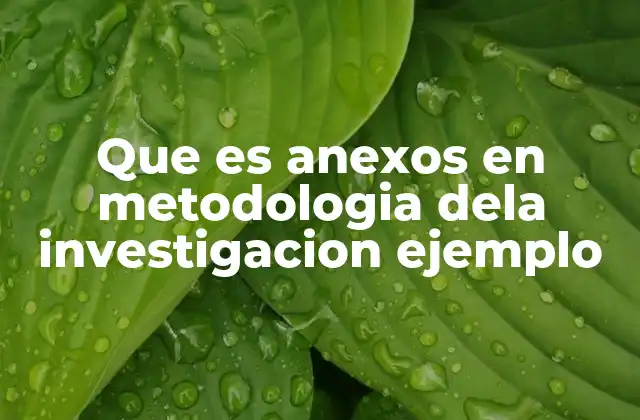Que es Anexos en Metodologia Dela Investigacion Ejemplo