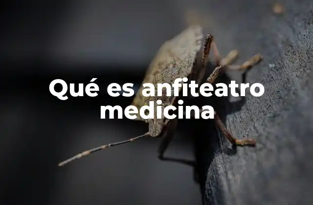 Qué es Anfiteatro Medicina
