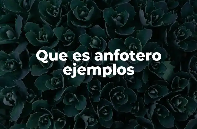 Que es Anfotero Ejemplos