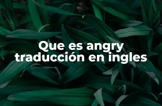Que es Angry Traducción en Ingles