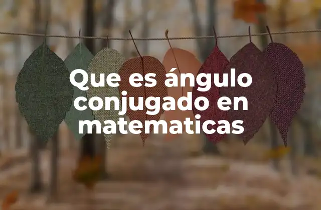 Que es Ángulo Conjugado en Matematicas
