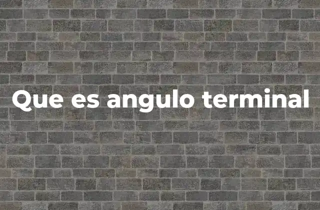 Que es Angulo Terminal 2 Cómo se forma un ángulo terminal en el plano cartesiano