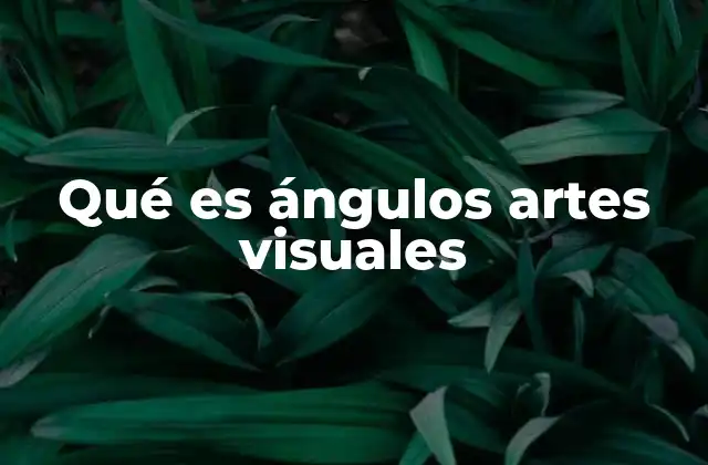 Qué es Ángulos Artes Visuales