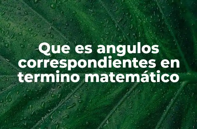 Que es Angulos Correspondientes en Termino Matemático