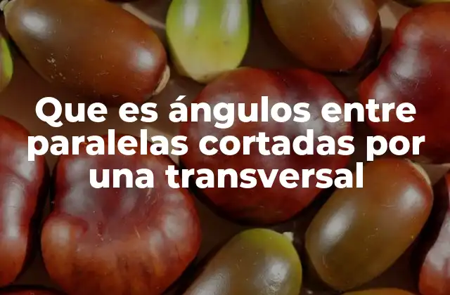 La importancia de las rectas paralelas y transversales en geometría