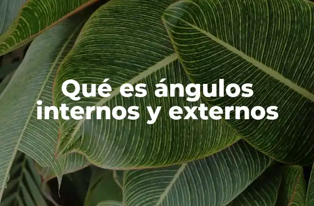 Qué es Ángulos Internos y Externos