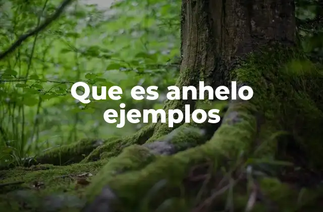Que es Anhelo Ejemplos