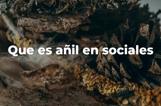 Que es Añil en Sociales