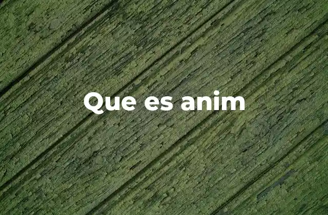 Que es Anim