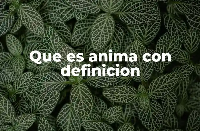 Que es Anima con Definicion