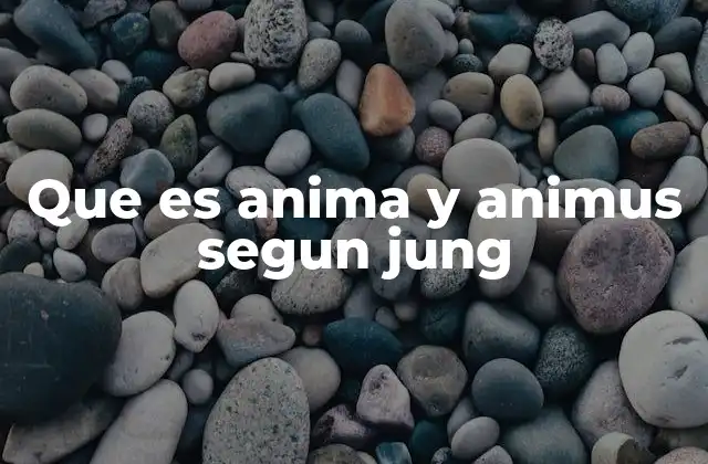 Que es Anima y Animus Segun Jung