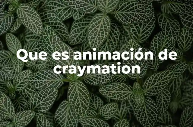 Que es Animación de Craymation
