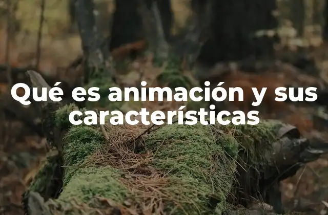 Qué es Animación y Sus Características