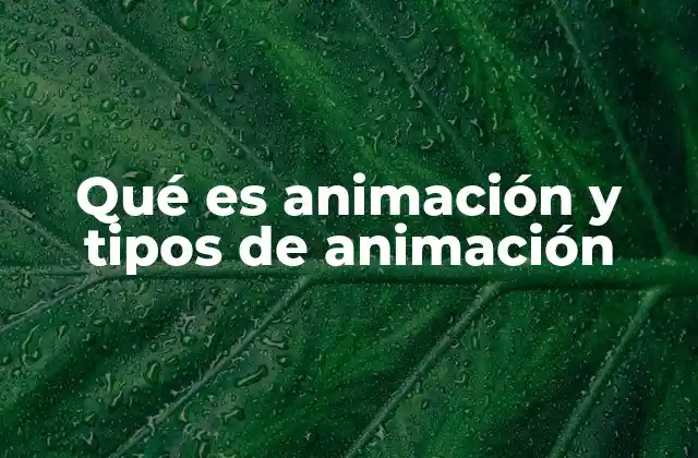 Qué es Animación y Tipos de Animación