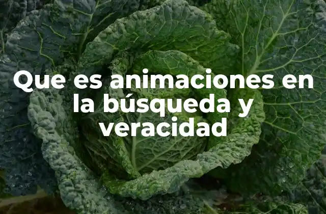 Que es Animaciones en la Búsqueda y Veracidad